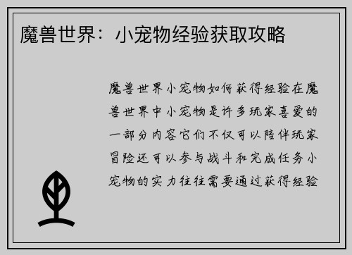 魔兽世界：小宠物经验获取攻略